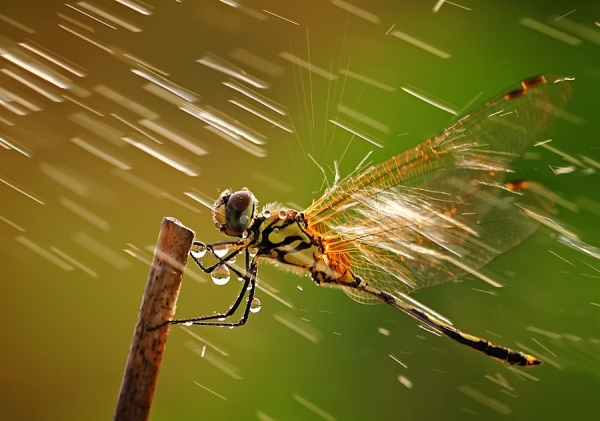 Photograph Shikhei Goh Rainy Day on One Eyeland