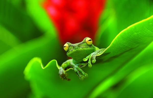 Photograph David Chandi Rana on One Eyeland