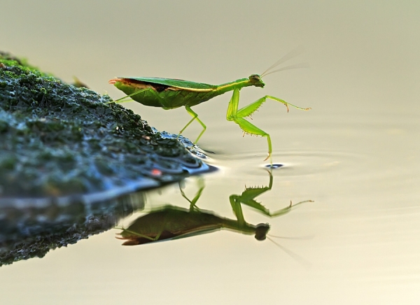 Photograph Shikhei Goh Reflection on One Eyeland