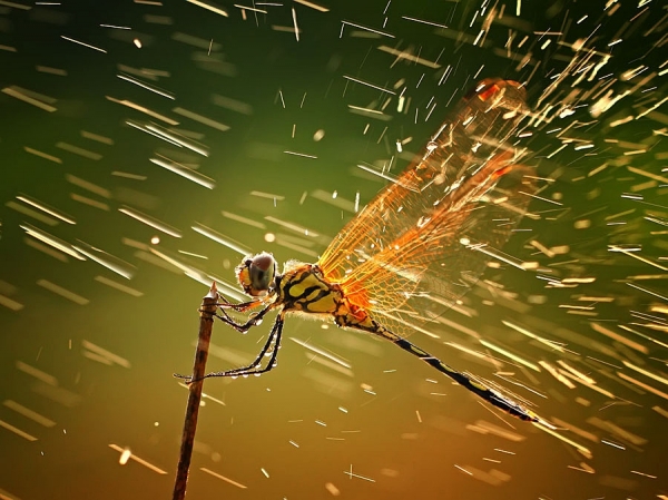 Photograph Shikhei Goh Splashing on One Eyeland