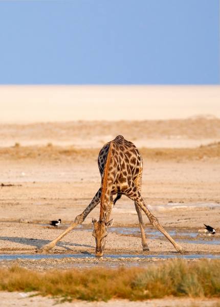 Photograph Anette Mossbacher Sundowner on One Eyeland