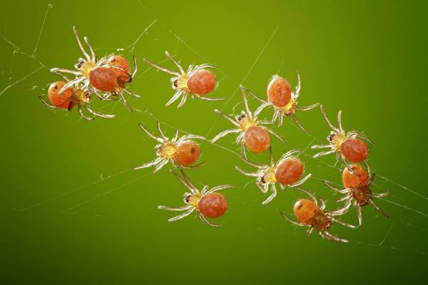 Photograph Shikhei Goh Togetherness on One Eyeland