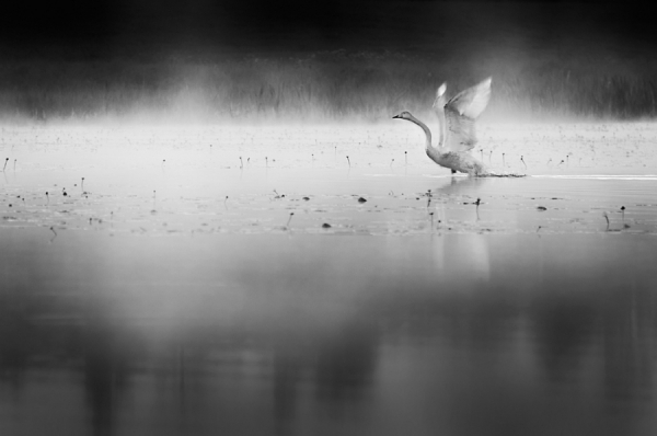 Photograph Mikko Lagerstedt True Magic on One Eyeland