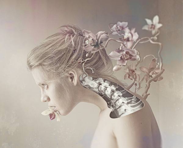 Photograph Elena Vizerskaya Xray Portrait on One Eyeland