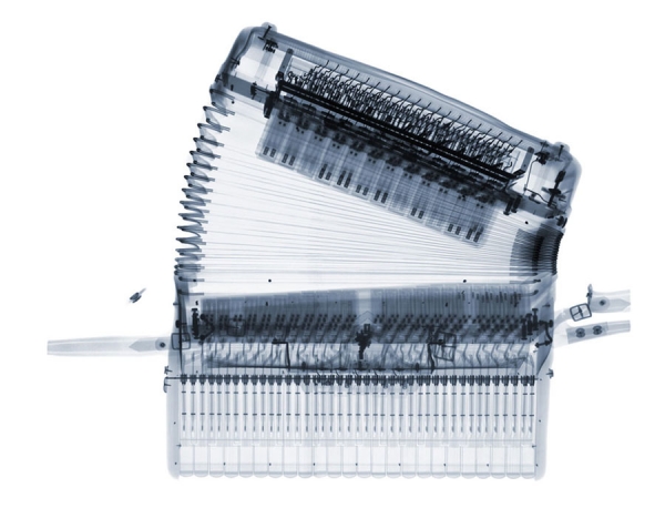 Photograph Nick Veasey Accordion on One Eyeland