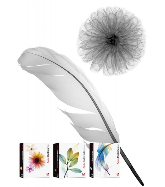 Photograph Nick Veasey Adobe Cs2 Pack on One Eyeland