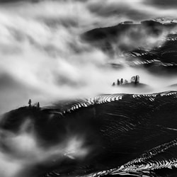 Terraces in Black and white-Thierry Bornier-bronze-black_and_white-1097