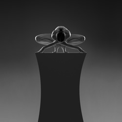 Sculpture-Bruno Birkhofer-bronze-black_and_white-1163