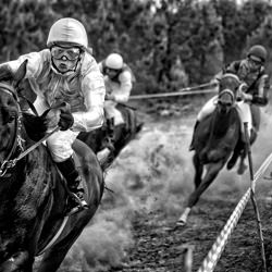 Winning Horse-Adolfo Enriquez-bronze-black_and_white-1125