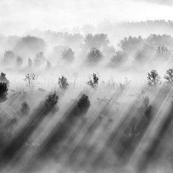 Light rays-Adolfo Enriquez-silver-black_and_white-1526