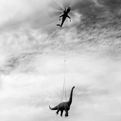Dino the Dinosaur-Eduardo Soler-finalist-black_and_white-1353