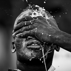 Laamb-Luis Godinho-finalist-black_and_white-1340
