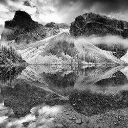 Symmetry in nature-Trevor Cole-silver-black_and_white-1559