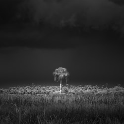 Against The Storm-Jack Curran-silver-black_and_white-1533