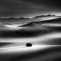 Morning Light Death Valley-Jack Curran-silver-black_and_white-1535