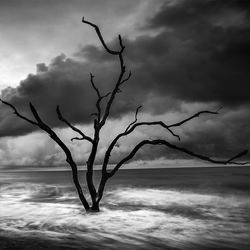 The Boneyard, South Carolina-Jack Curran-finalist-black_and_white-1305