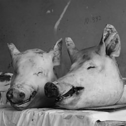 Two gossips-Shaliko Epkhoshvili-finalist-black_and_white-1347