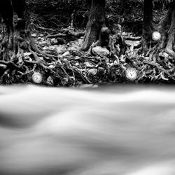 The River of Time-Aurelio Bormioli-bronze-black_and_white-1103