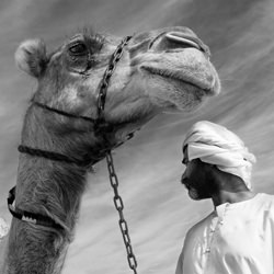 Camel-Gabor Kanovits-finalist-black_and_white-1375