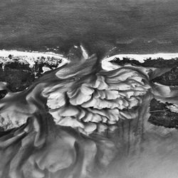 Flying above United States-Barbara Zanon-bronze-black_and_white-1110