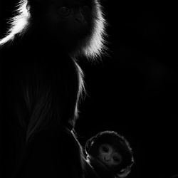 Safest Place on earth-Tapan Sheth-finalist-black_and_white-1382