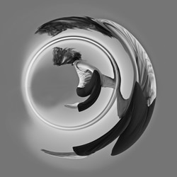 yoga world-Lee Peterson-finalist-black_and_white-1389