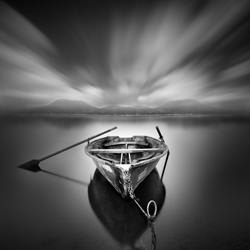 Ready-Moises Levy-bronze-black_and_white-1198