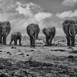 Big Family-Marcel Rebro-finalist-black_and_white-1402