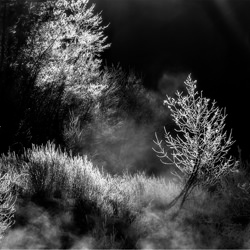 Graphisms of winter lights in Valcellina_F-Italy-Stefano Ciol-finalist-black_and_white-1284