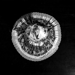 The Folklor 01-Vlado Soric-finalist-black_and_white-1310