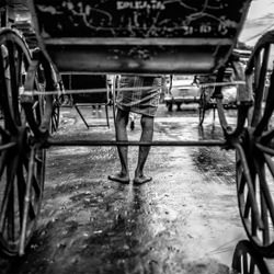MUSTAFA-Mauro De Bettio-finalist-black_and_white-1412