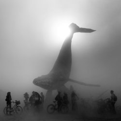 The Space Whale – Burning Man-Jean Luc Grossmann-silver-black_and_white-1567