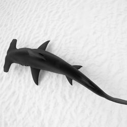 Cruising Hammerhead-Elisabeth Lauwerys-silver-black_and_white-1572