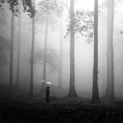After The Rain-Hengki Lee-finalist-black_and_white-1446