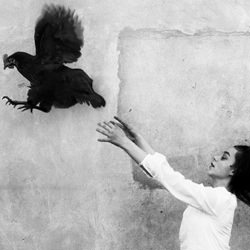 Wings-Sohei Szincza-finalist-black_and_white-1445