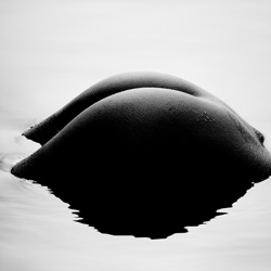 Surface-Kennet Havgaard-bronze-black_and_white-1230
