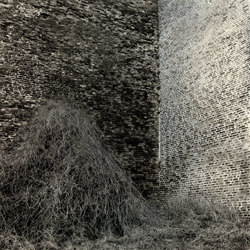 Silence-Jonny Paw-finalist-black_and_white-1242