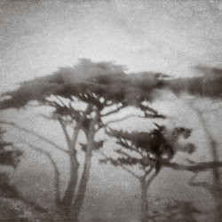 Last Light-Wendi Schneider-finalist-black_and_white-1461