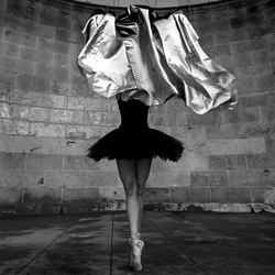 Silver Veil-Alexo Wandael-finalist-black_and_white-1464