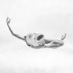 Ballet from below-Robert Houser-bronze-black_and_white-1105