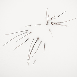 Grass-Marshall Clarke-finalist-black_and_white-1482