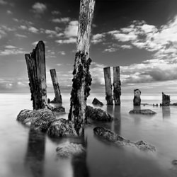Kikbrittain Study 1-David Magee-finalist-black_and_white-1486
