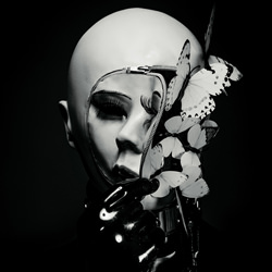 A.C.A.B. - All children are butterflies-Lisa Nowinski-bronze-black_and_white-2485