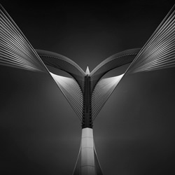 Heart of steel-Ahmed Thabet-bronze-black_and_white-2505