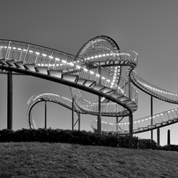 Tiger and Turtle-Swen Bernitz-finalist-black_and_white-2701