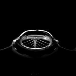 Manta Black-Elisabeth Lauwerys-bronze-black_and_white-2506