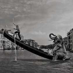 Venecia-Manuel Santos-silver-black_and_white-2783