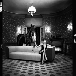 Horse-Szymon Brodziak-bronze-black_and_white-2548