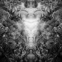 Phantasm No. 21-Martin Miller-finalist-black_and_white-2729