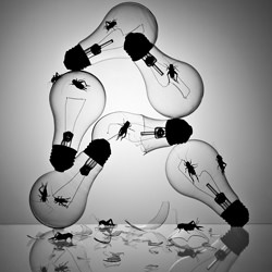 Light Bulbs & Crickets-Michael Donovan-finalist-black_and_white-2738